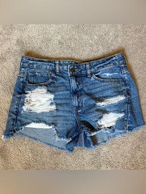 American Eagle Distressed Mom Shorts High Waist Size 8 Short Shorts Strigid